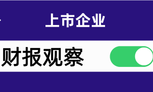 2024年报观察：双位数硬核增长！万和电气战略转型奏效